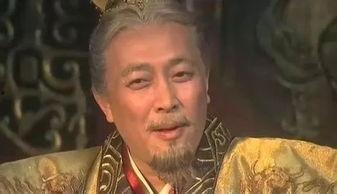 电视剧《汉宣帝》,雄才大略，开创盛世