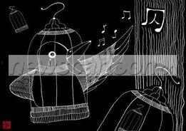鸟囚漫画,揭秘神秘囚笼中的鸟儿传奇